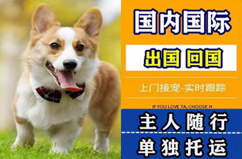 辽宁省宠物托运公司辽宁省宠物托运公司辽宁省宠物托运公司