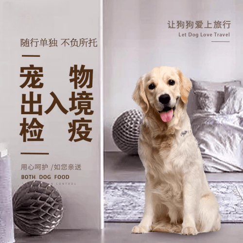辽宁省宠物托运到哥伦比亚猫狗宠物入境规定和