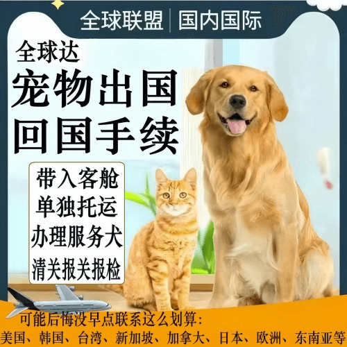 辽宁省宠物托运到柬埔寨宠物入境规定和要求
